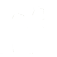 Image icon